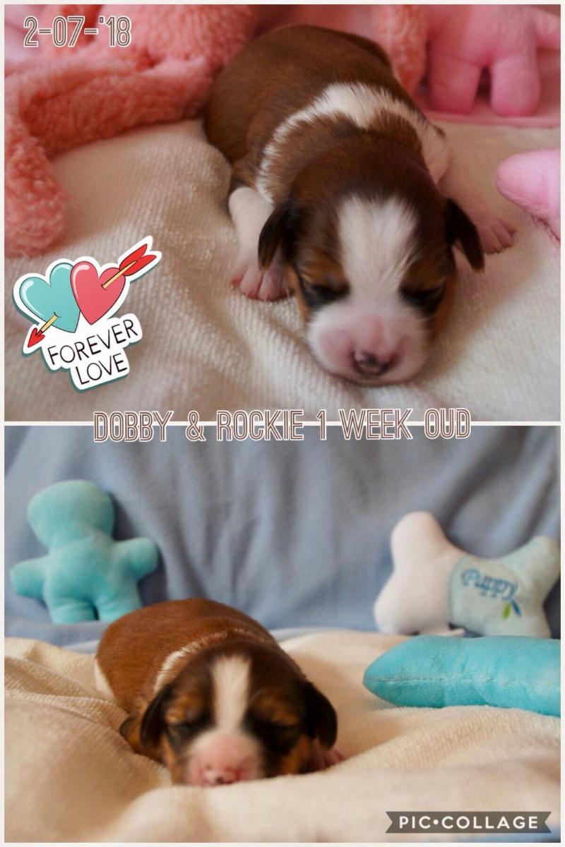 Eerste week: Fotoschoot!