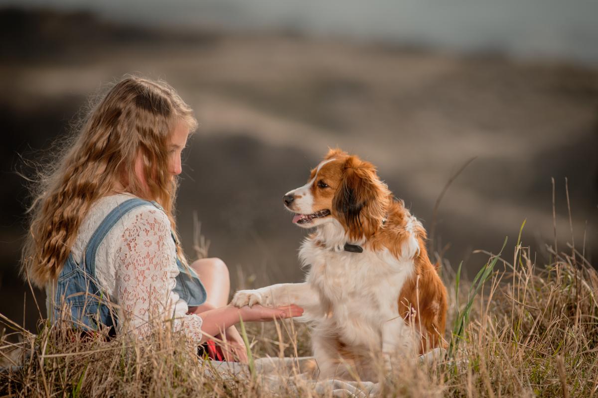 Lily & Lucy