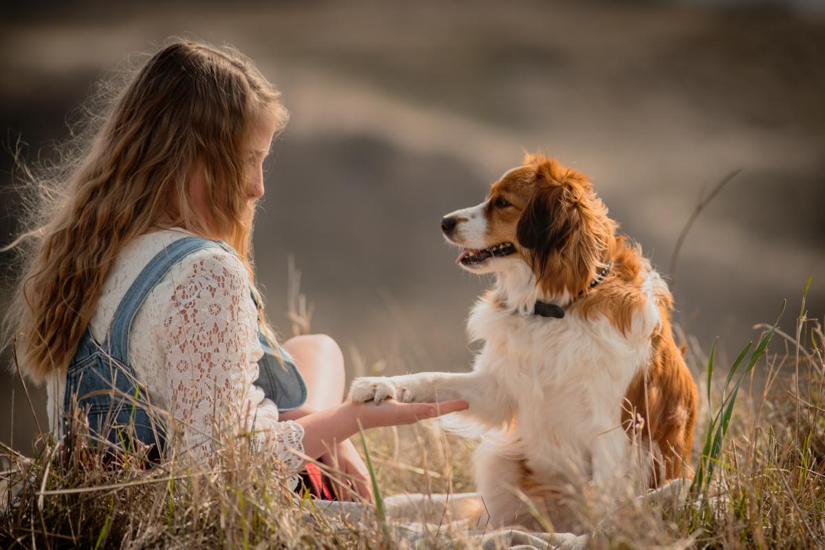 Lily & Lucy